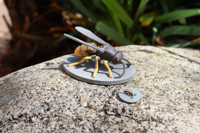3D-Printed Insects Help Scientists Unlock the Secrets of Animal Mimicry