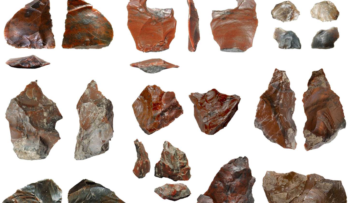 Ancient Humans Carved Up Elephant Meat with Small, Yet Sophisticated Stone Tools