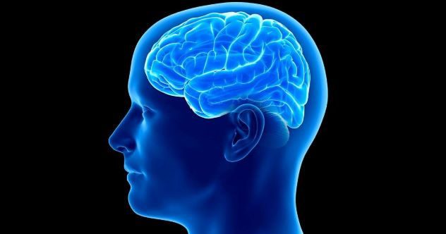 10 Amazing New Things We’ve Learned About the Human Psyche