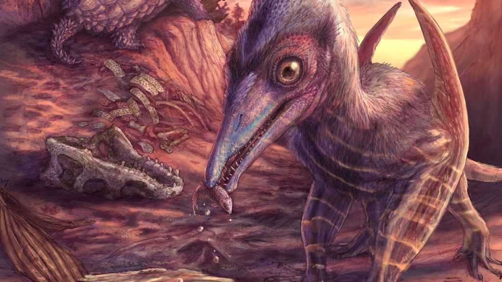 This ‘ash-winged dawn goddess’ is North America’s newest pterosaur