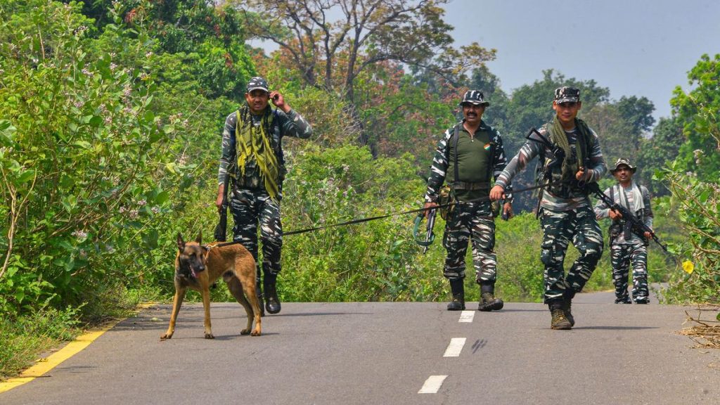12 Maoists, Including Top Bounty Targets, Surrender in Dantewada
