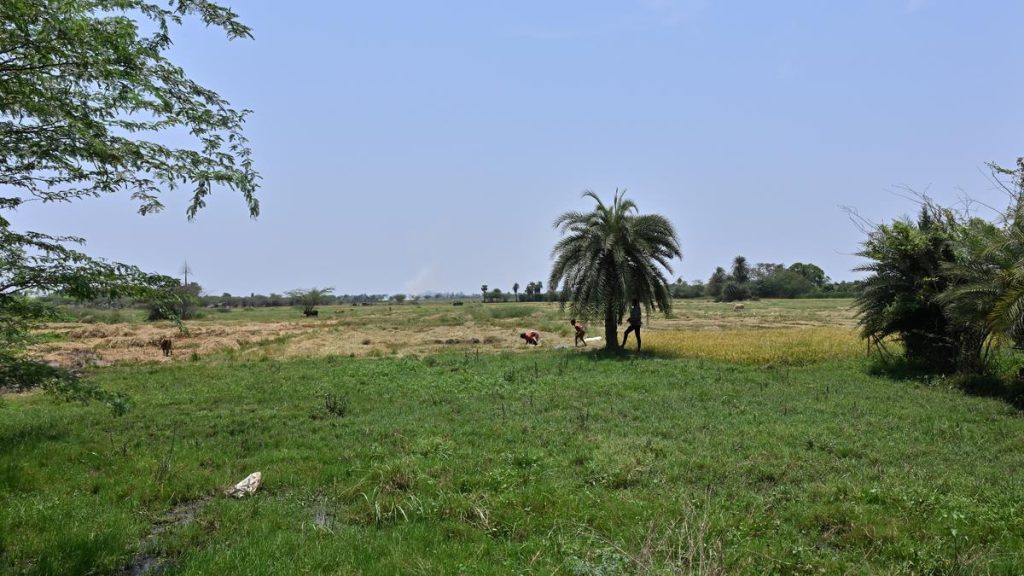 Land acquisition takes off for Chennai’s second airport at Parandur