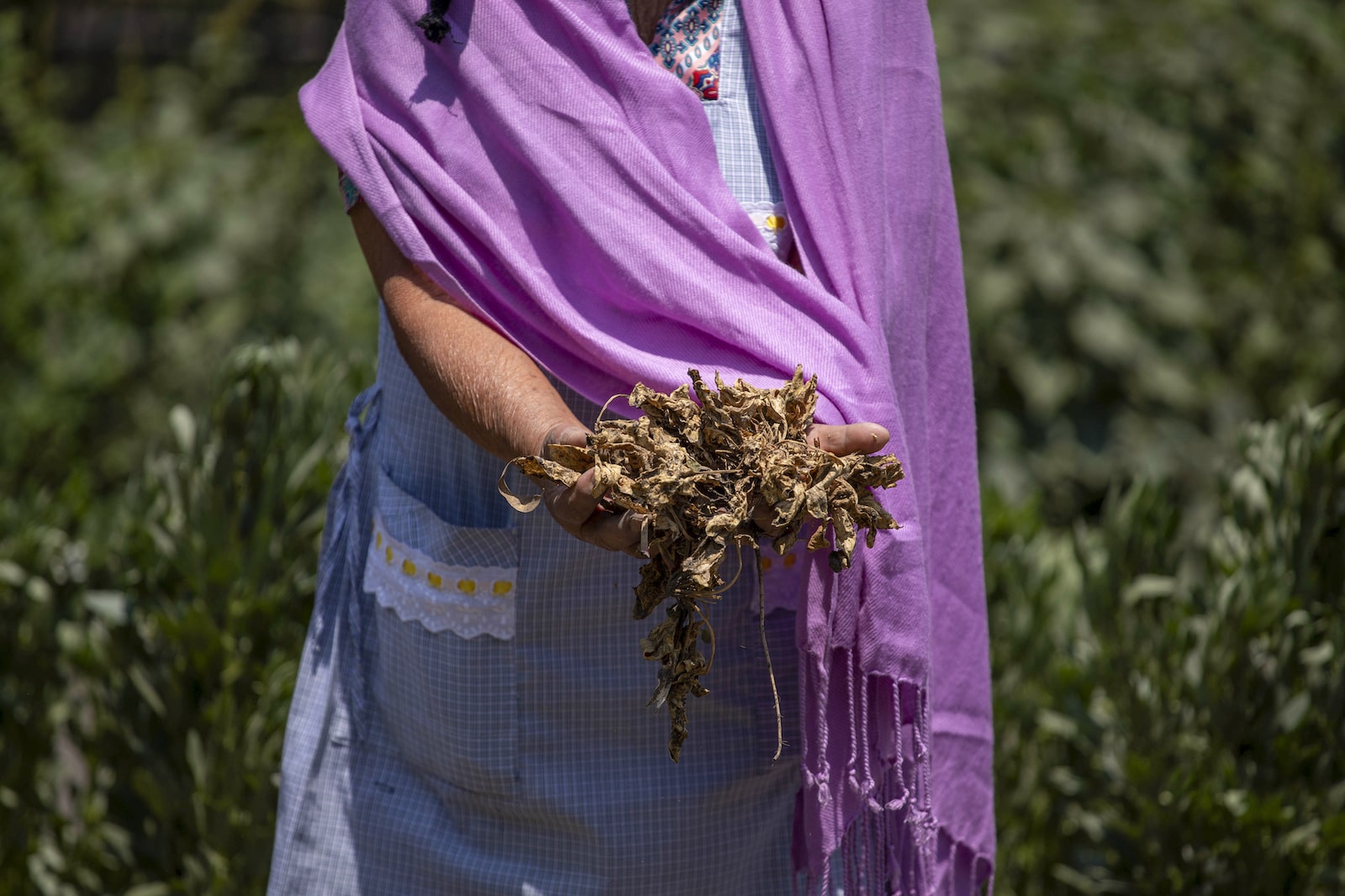 Drought is draining water supplies and driving up food costs where you’d least expect