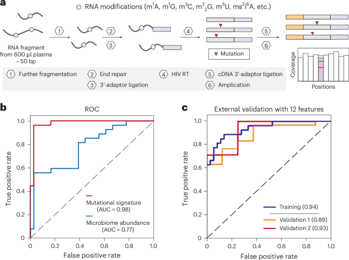 Tracking microbiome-derived cell-free RNA modifications detects colorectal cancer