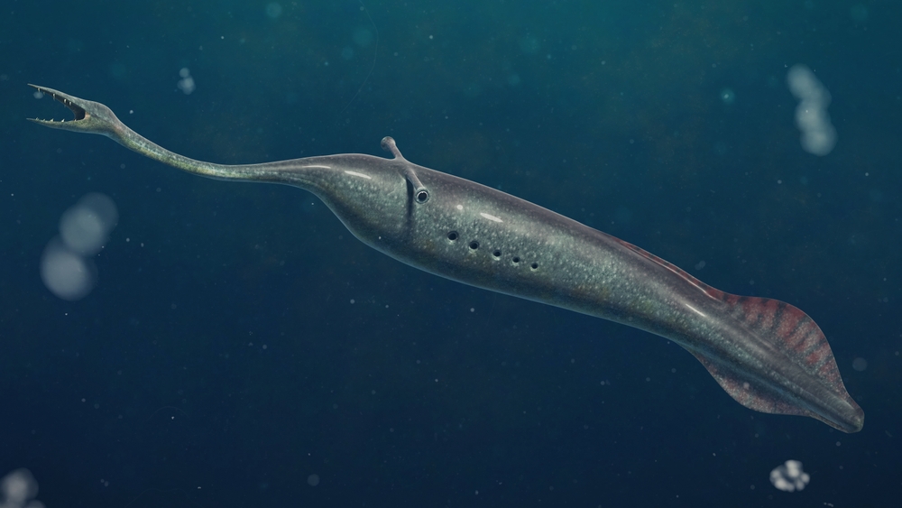 The Bizarre 300-Million-Year-Old Tully Monster — Why the Fossil Still Confuses Experts
