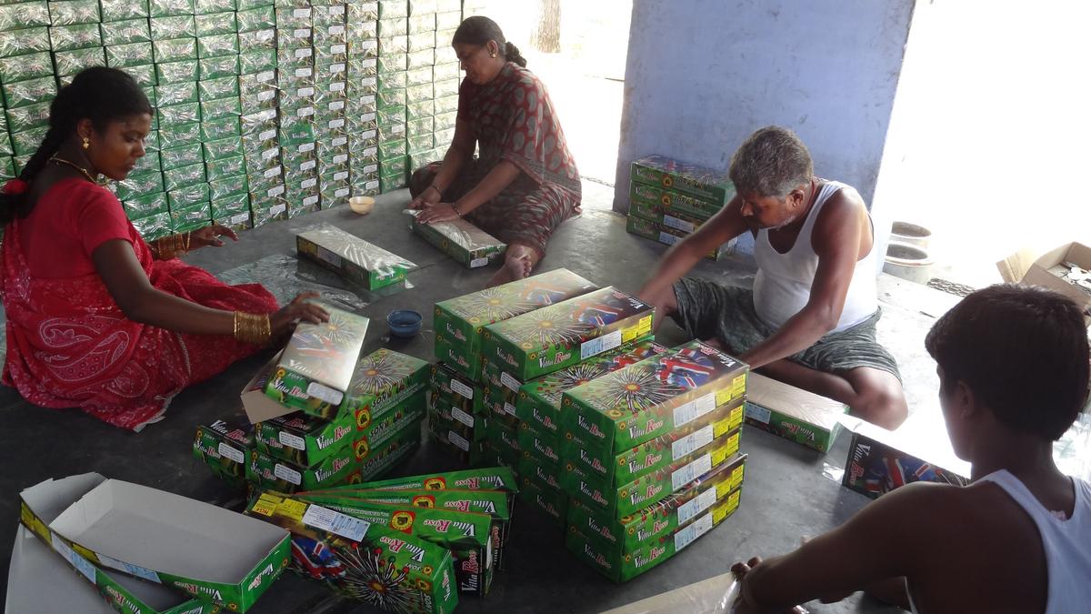 ngt-orders-urgent-safety-inspection-of-all-recracker-units-in-virudhunagar-district