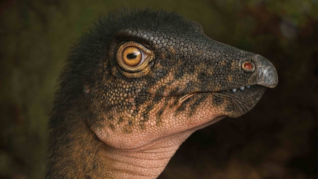Denver museum finds dinosaur bone under its parking lot