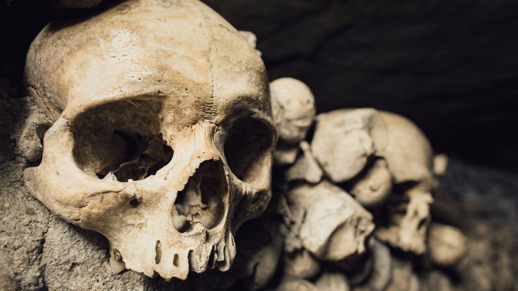 Earliest evidence of humans catching disease from animals dates to 6,500 years ago