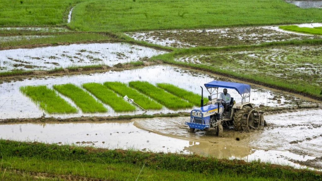 IMD Issues Yellow Alert for Heavy Rain in Jharkhand, July 13-15