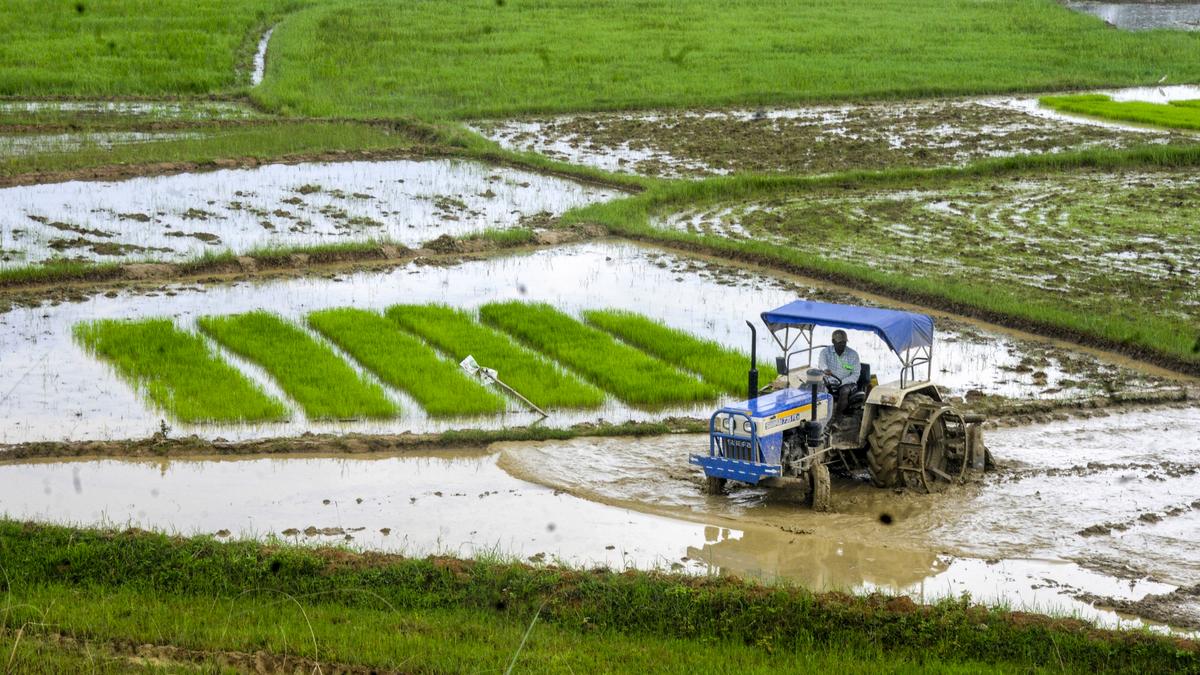 imd-issues-yellow-alert-for-heavy-rains-in-parts-of-jharkhand-from-july-13-15
