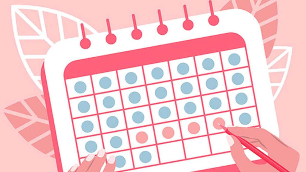 Outrage Over Proposal to Track Menstrual Data of Girl Students
