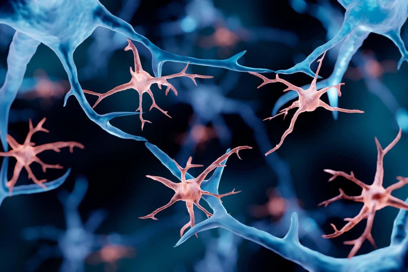 Fatal genetic disorder treated by replacing the brain’s immune cells