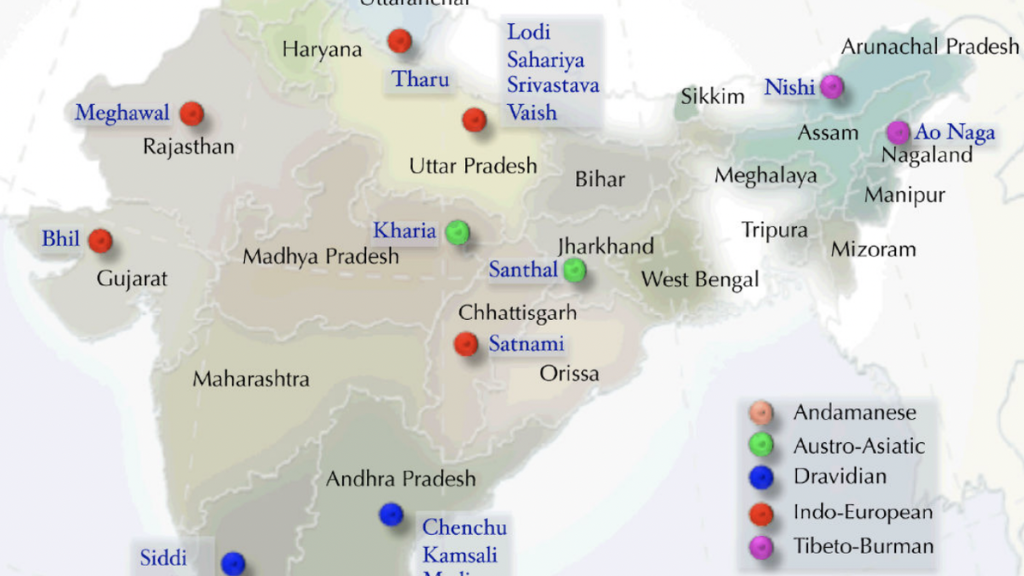 The peopling of the Indian subcontinent