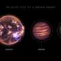 Dark matter could create dark dwarfs at the center of the Milky Way