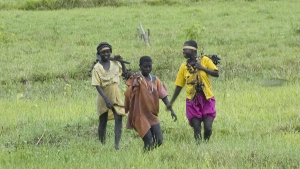 Accessing Jarawa one of the oldest surviving hunter-gather tribes for census will not be tough: Experts