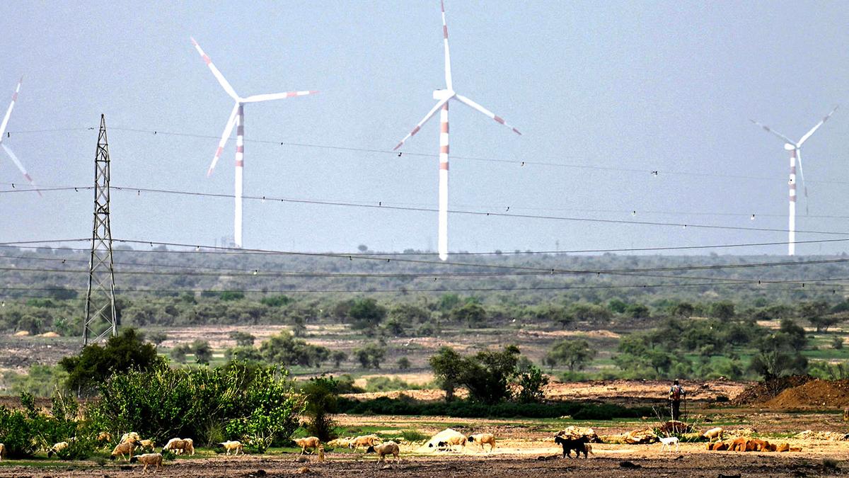 Why must India recognise its open ecosystems? | Explained