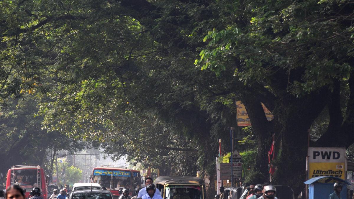 demand-to-restore-green-cover-in-key-city-corridors