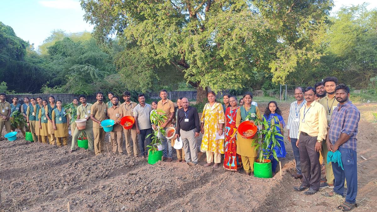iihr-and-kilvelur-agri-college-join-hands-to-develop-mango-variety-suited-to-conditions-in-nagapattinam