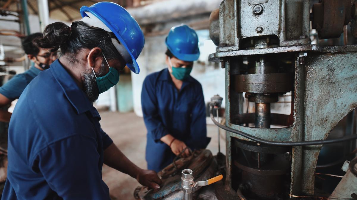government-data-show-fall-in-number-of-women-at-work-in-rural,-urban-areas