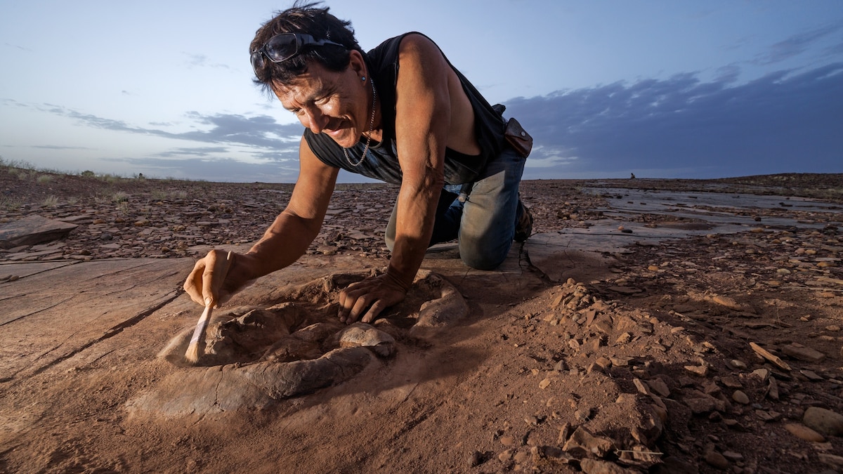 Inside Paul Sereno’s dinosaur hunt through the world’s fiercest desert