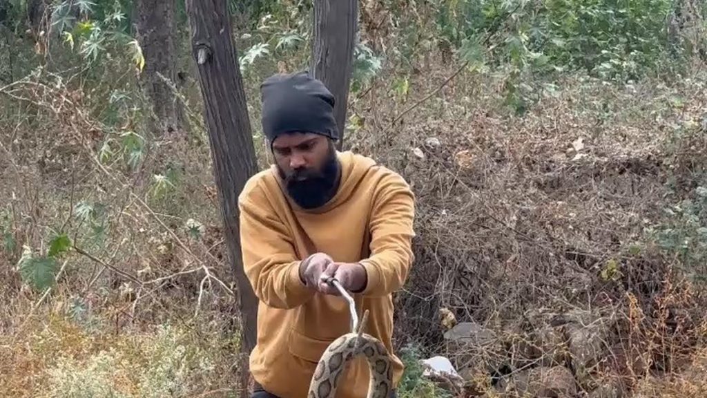 2025 | 56% of snakes rescued in Telangana so far are venomous