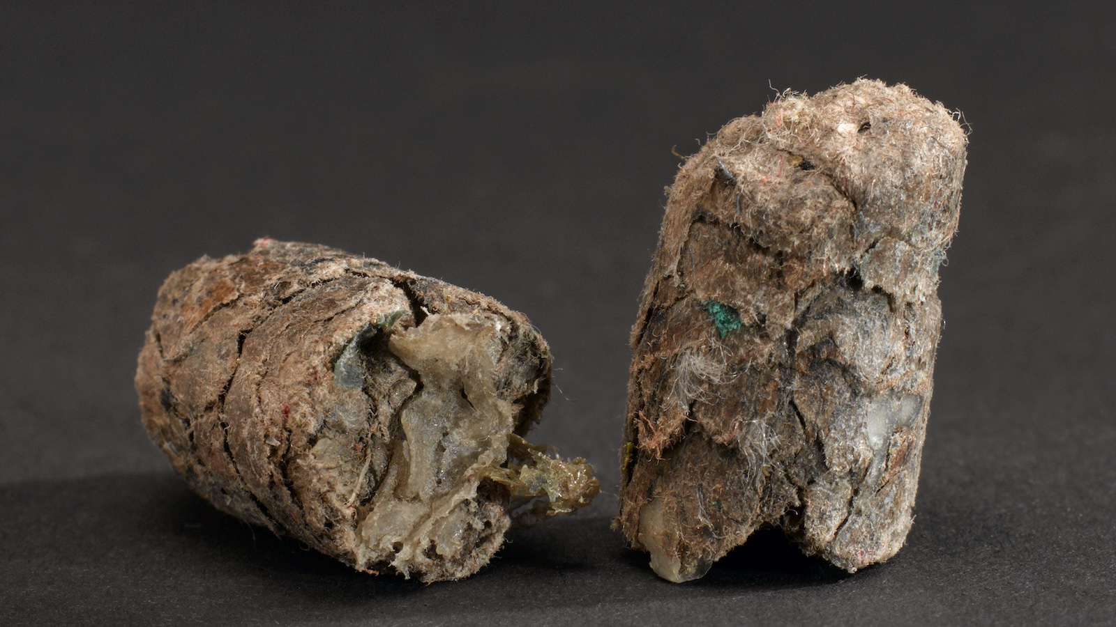 This fuel is 50% plastic — and it’s slipping through a loophole in international waste law