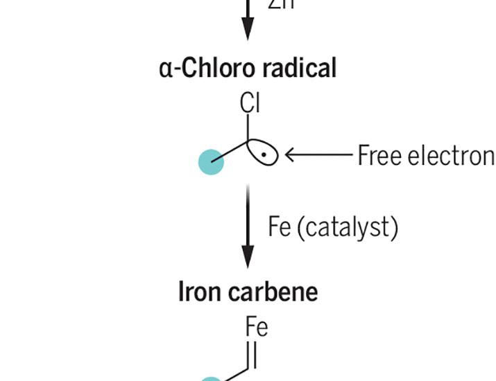 Electronically diverse carbenes | Science