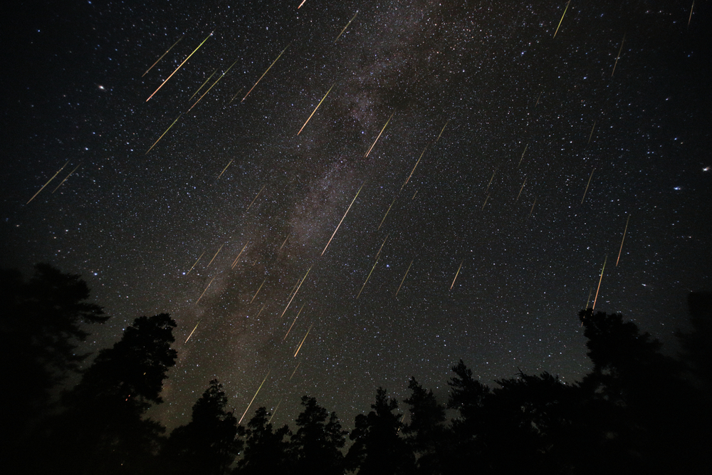 The 2025 Perseids Meteor Shower Could Feature 50 to 100 Meteors Per Hour, and Fireballs