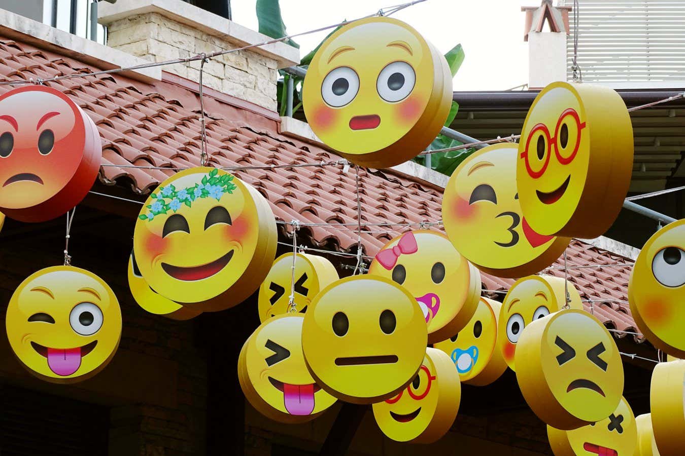 New book is an illuminating but flawed look at the impact of emoji