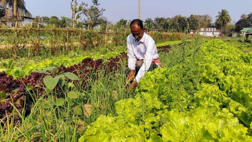 Cabinet Clears ‘Dhan-Dhaanya Krishi Yojana’ to Transform Agriculture in 100 Districts