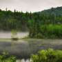 Colonization devastated biodiversity, habitats and human life in the Pacific Northwest