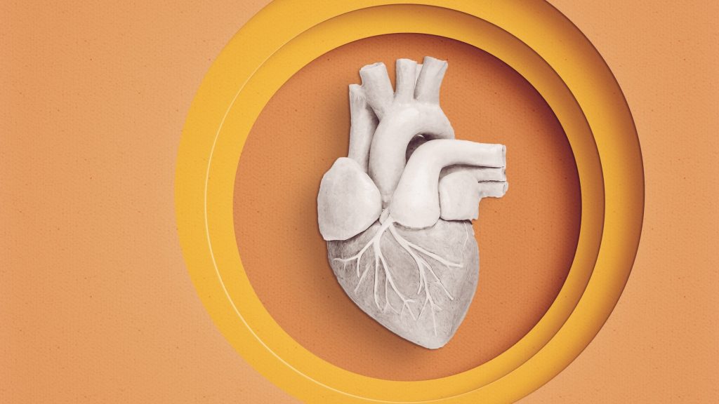 Surgeons develop 2 ways to ‘restart’ hearts without a donor’s body