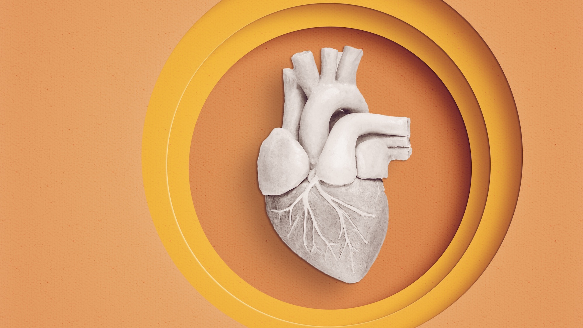 Surgeons develop 2 ways to ‘restart’ hearts without a donor’s body