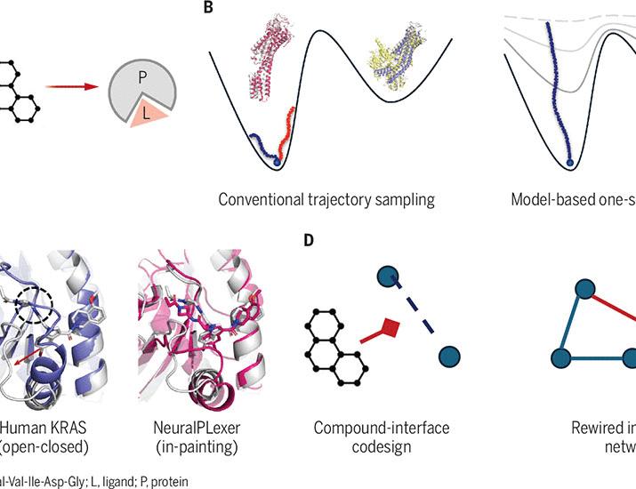 AI to rewire life’s interactome: Structural foundation models help to elucidate and reprogram molecular biology | Science