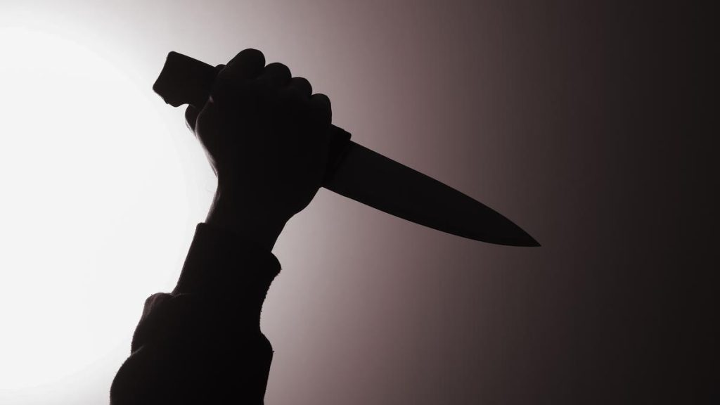 Thief disguised as soldier stages search operation in Kashmir’s Kulgam village, ‘stabs’ man to death