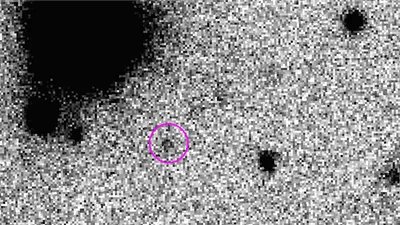 New Dwarf Planets Beyond Neptune in 2025