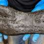 Big Roman shoes discovered near Hadrian’s Wall—but they don’t necessarily mean big Roman feet