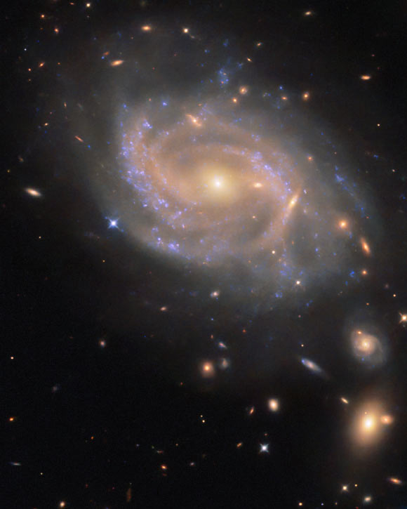 Hubble Space Telescope Gazes at Swirling Spiral Galaxy