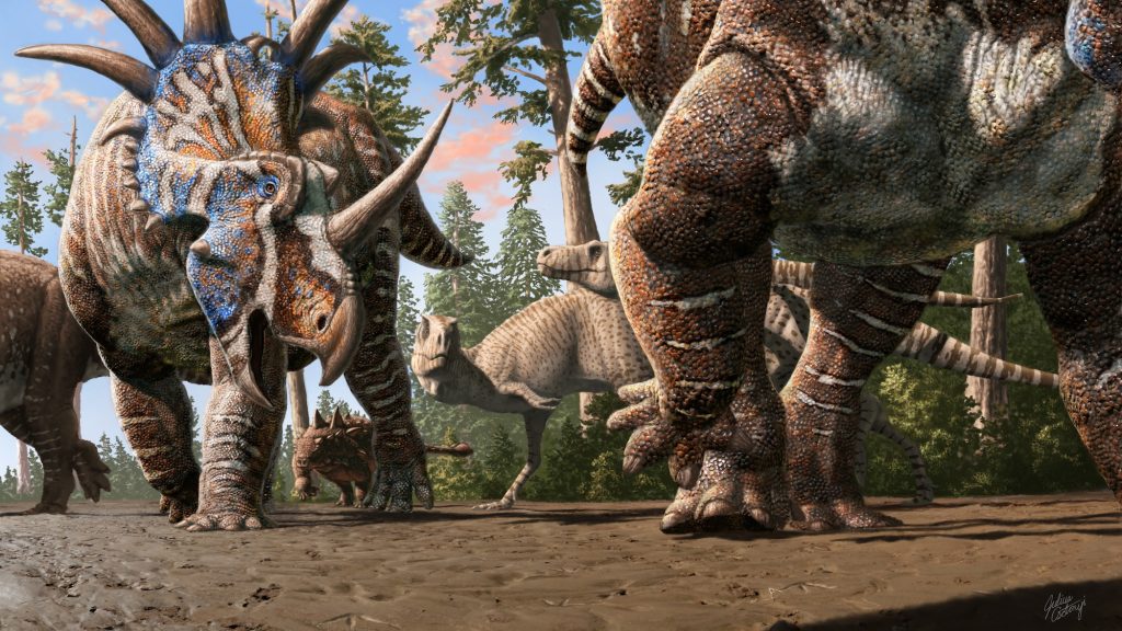 Dinosaurs roamed in multi-species herds, fossilized footprints show
