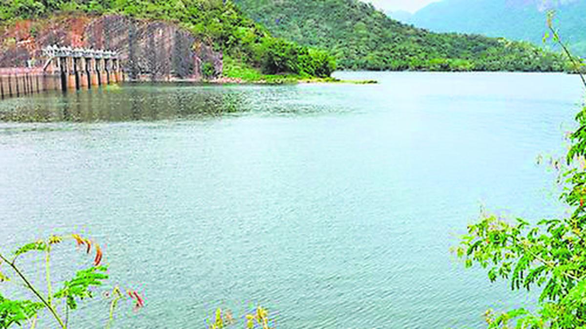 Water level in Papanasam dam stands at 117 feet