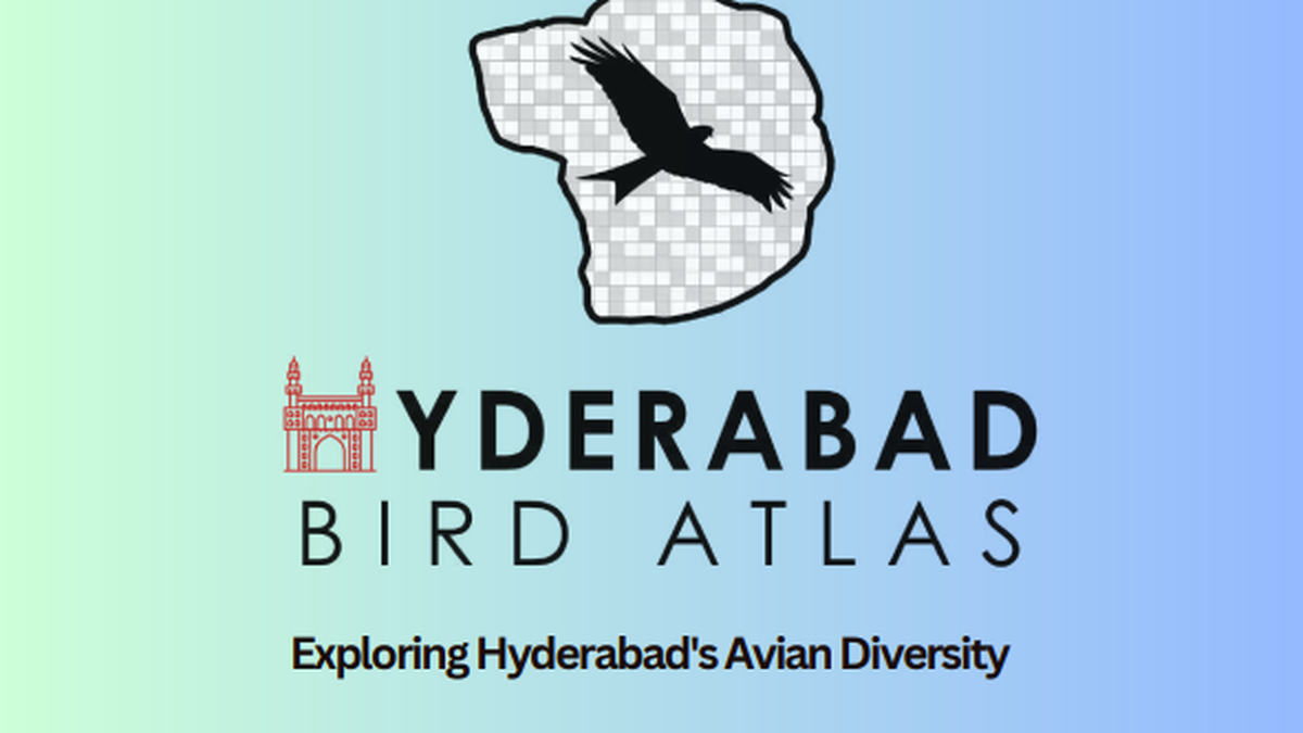 second-season-of-hyderabad-bird-atlas-2025-concludes