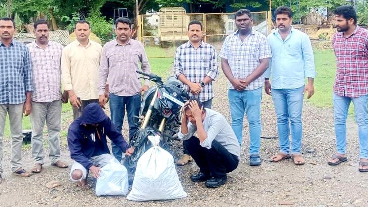 security-guard-at-hyderabad’s-software-firm-among-two-caught-with-8.6-kg-of-ganja-smuggled-from-odisha