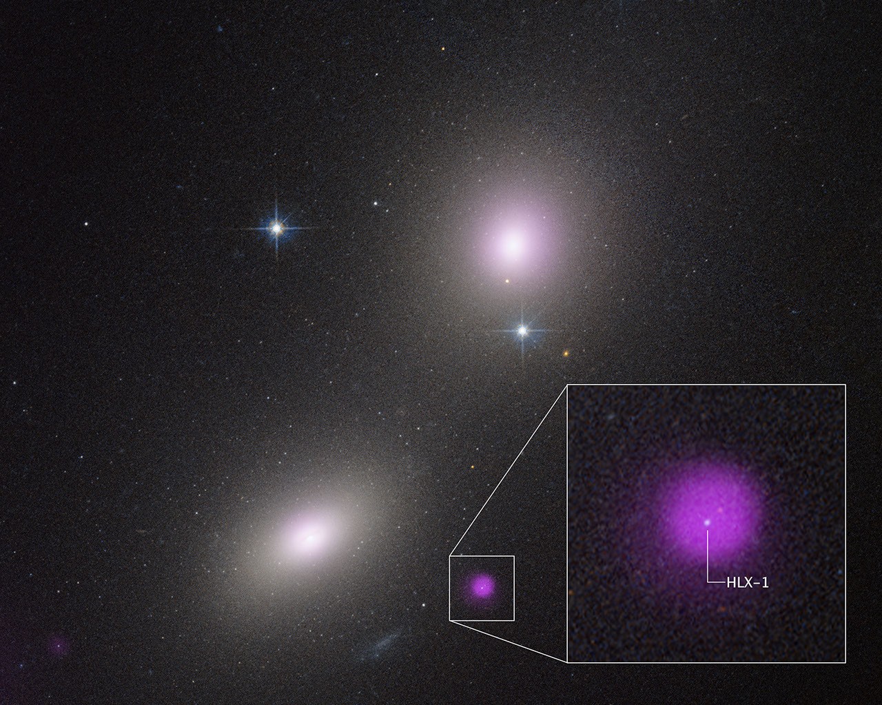 NASA’s Hubble, Chandra Spot Rare Type of Black Hole Eating a Star