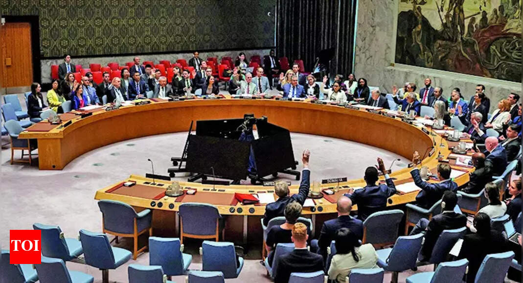 Pak steeped in terrorism, says India as Islamabad raises J&K in UNSC; US doubles down on ceasefire claims