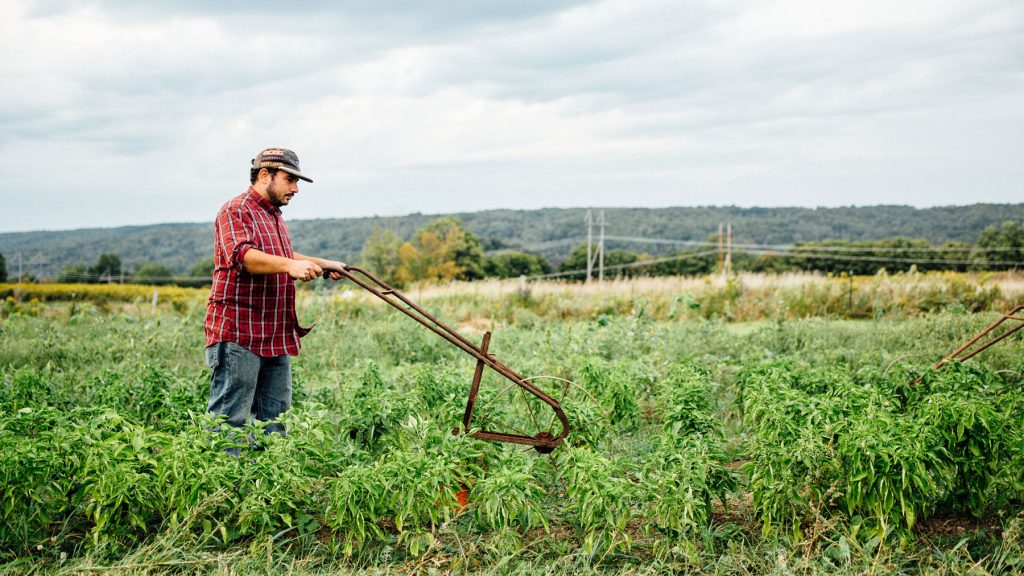 Old-school gardening tools that are still worth using