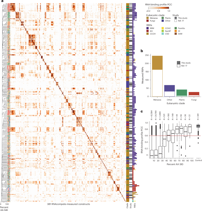 A resource of RNA-binding protein motifs across eukaryotes reveals evolutionary dynamics and gene-regulatory function