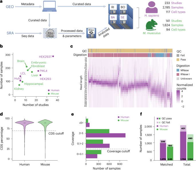 Translation efficiency covariation identifies conserved coordination patterns across cell types