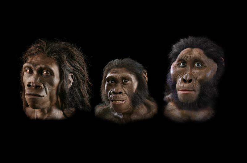 Three ancient human relatives once shared the same valley. Did they meet—and compete?
