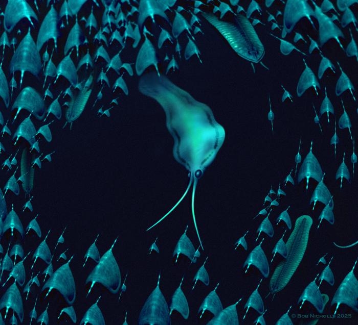 A 518-Million-Year-Old Ancient Squid-Like Creature Had “Complex Camera Eyes”