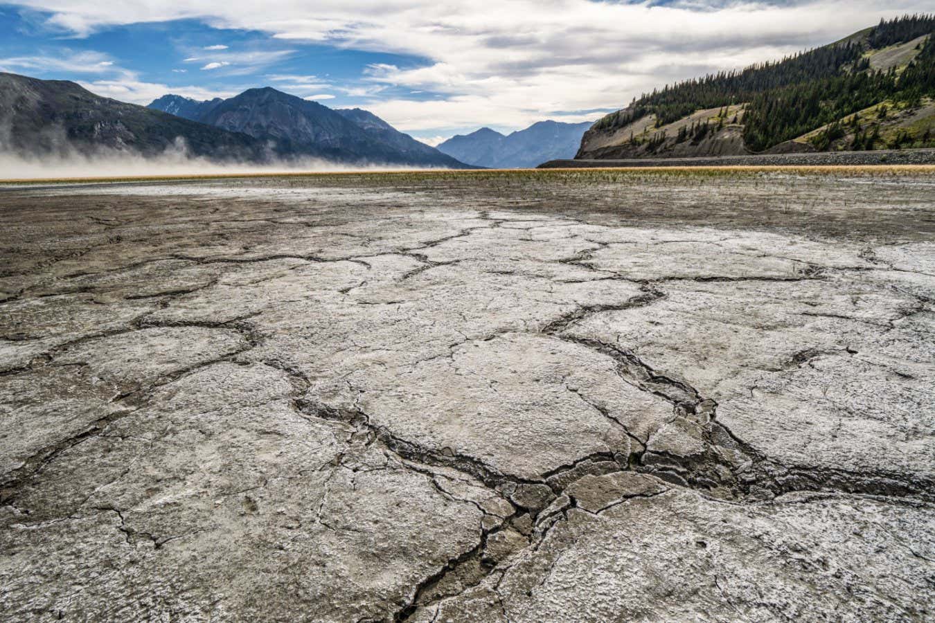 We are undergoing unprecedented loss of freshwater across the planet